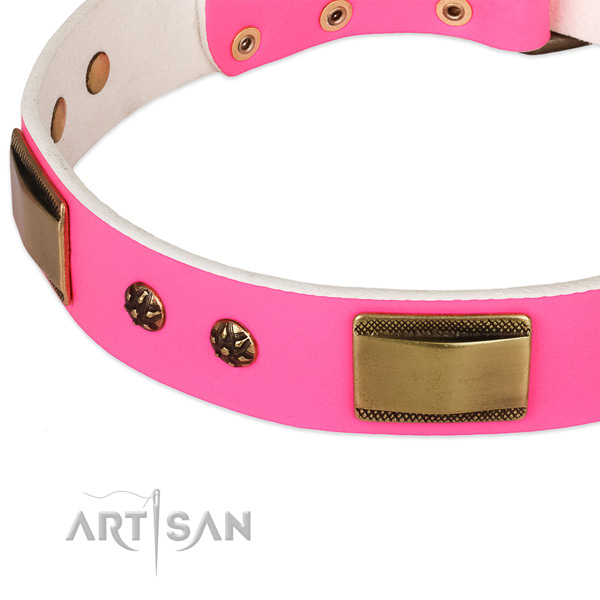 Durable D-ring on genuine leather dog collar for your four-legged friend