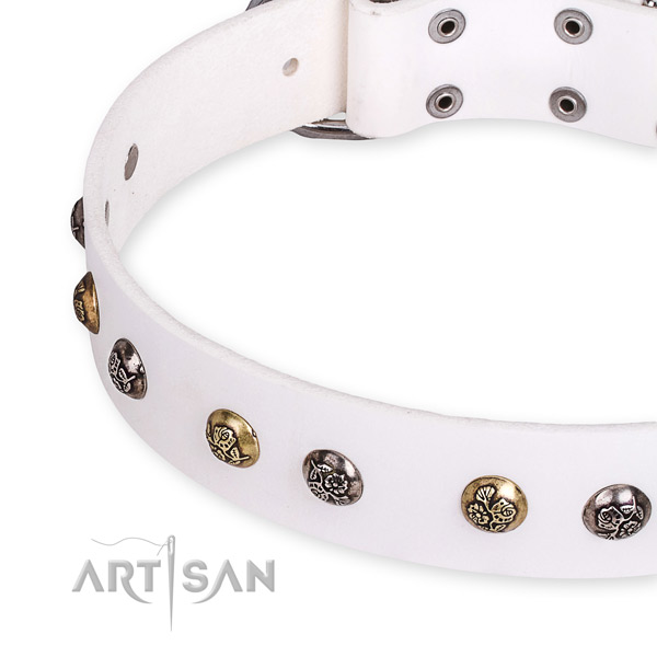 Natural leather dog collar with trendy rust-proof studs