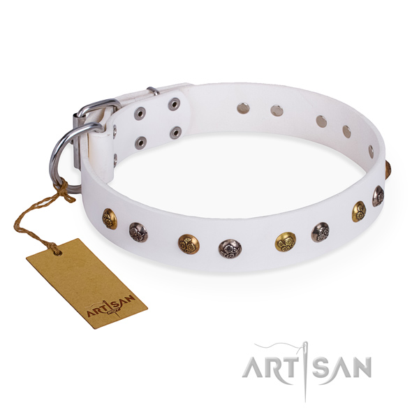 Easy wearing top notch dog collar with rust resistant D-ring