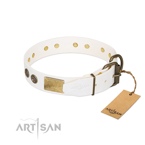 Rust-proof hardware on natural genuine leather collar for everyday walking your canine