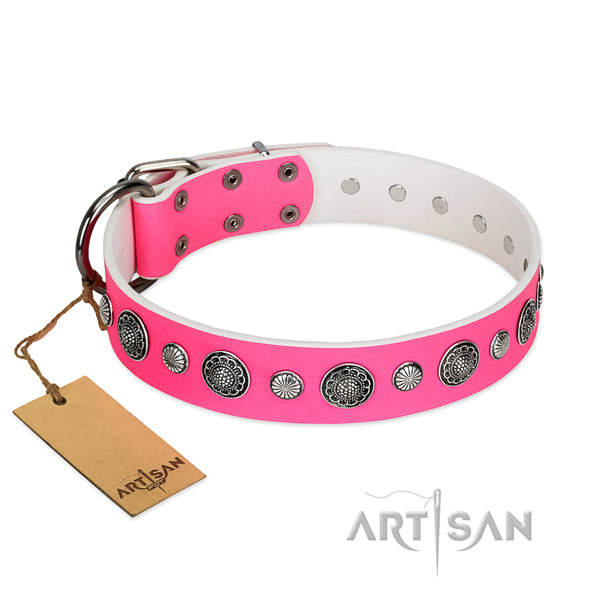Soft to touch natural leather dog collar with rust resistant hardware