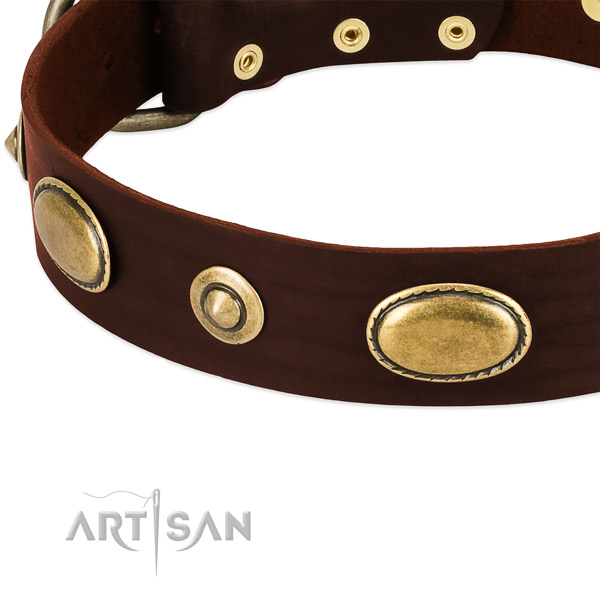 Strong fittings on leather dog collar for your pet