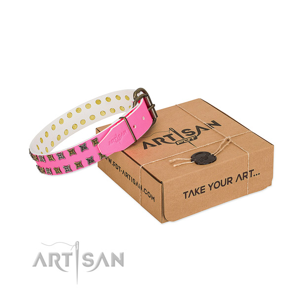 Genuine leather collar with top notch studs for your doggie