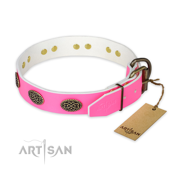 Everyday walking leather collar with adornments for your four-legged friend