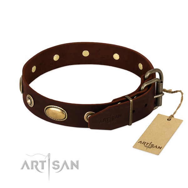 Reliable traditional buckle on genuine leather dog collar for your pet