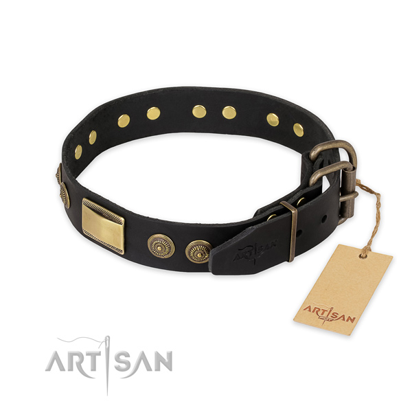 Rust-proof traditional buckle on genuine leather collar for basic training your canine
