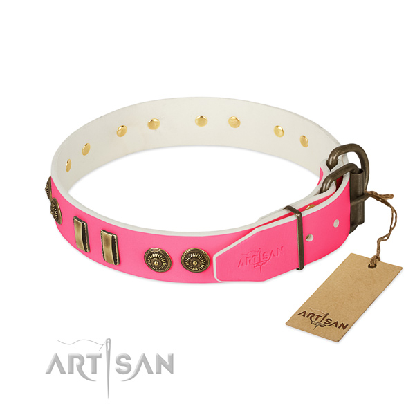 Durable embellishments on full grain leather dog collar for your doggie