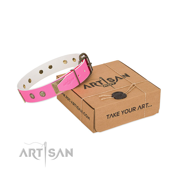Rust-proof buckle on dog collar for stylish walking