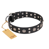 "Refined Essence" FDT Artisan Black Leather Bulldog Collar with Silvery Studs