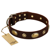 "Hebe's Jewel" FDT Artisan Brown Genuine Leather Bulldog Collar
