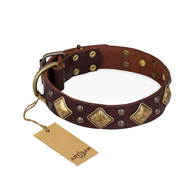 "Golden Square" FDT Artisan Brown Leather Bulldog Collar with Large Squares