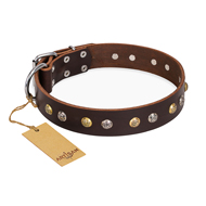 "Golden"n"Silver Luxury" FDT Artisan Leather Bulldog Collar with Engraved Studs