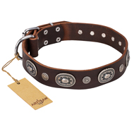 "Extra Pizzazz" FDT Artisan Adorned Brown Leather Bulldog Collar
