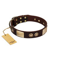 "Sense of Freedom" FDT Artisan Brown Leather Bulldog Collar with Old Bronze-Plated Studs and Plates
