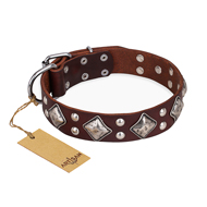 "King of Grace" FDT Artisan Stylish Leather Bulldog Collar with Old Silver-Like Plated Decorations