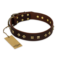 "Fashion Studs" FDT Artisan Decorated Leather Bulldog Collar with Old Bronze-Plated Steel Hardware