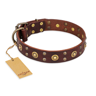 "Caprice of Fashion" FDT Artisan Brown Leather Bulldog Collar with Round Decorations