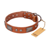"Sparkling Skull" FDT Artisan Tan Leather Bulldog Collar with Old Silver Look Plates and Skulls