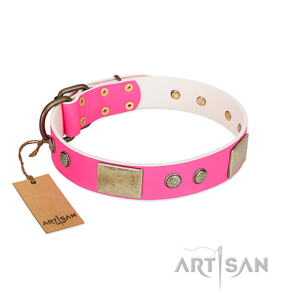 Easy wearing leather dog collar for everyday walking your doggie