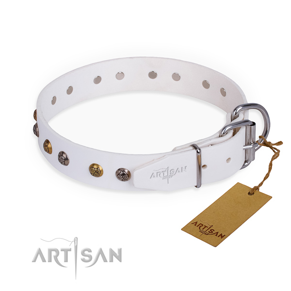 Full grain leather dog collar with awesome durable decorations
