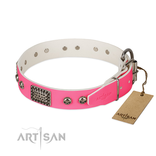 Strong decorations on everyday use dog collar