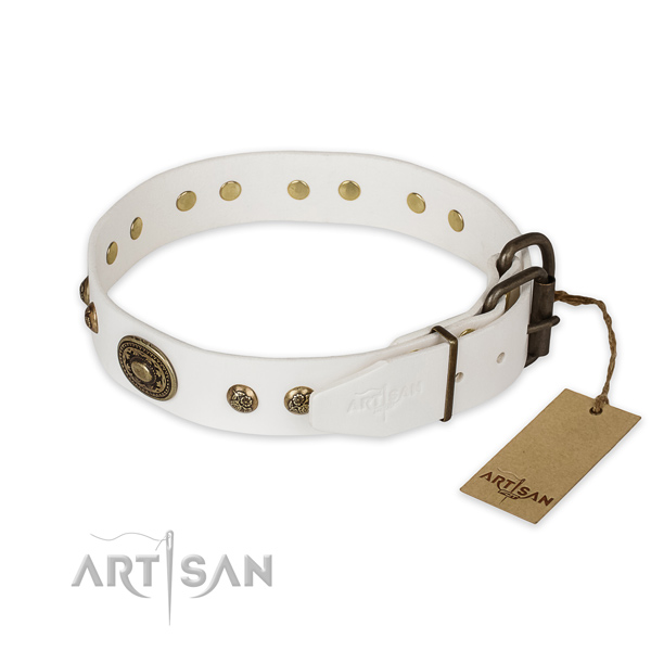 Reliable traditional buckle on genuine leather collar for daily walking your pet