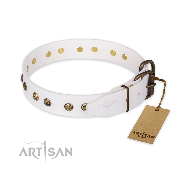 Reliable buckle on leather collar for your handsome canine