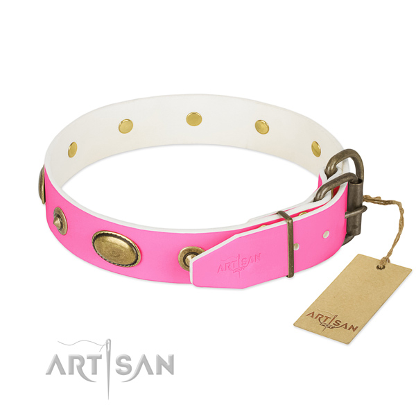 Strong adornments on genuine leather dog collar for your four-legged friend
