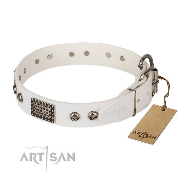 Rust resistant fittings on stylish walking dog collar
