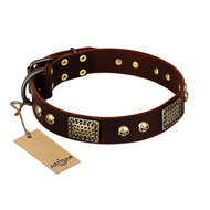 "Magic Amulet" Brown Leather Bulldog Collar with Skulls and Plates
