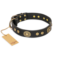 "Golden Radiance" FDT Artisan Black Leather Bulldog Collar with Old Bronze Look Ovals and Circles