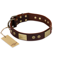 "Shining Armour" FDT Artisan Brown Leather Bulldog Collar with Decorations