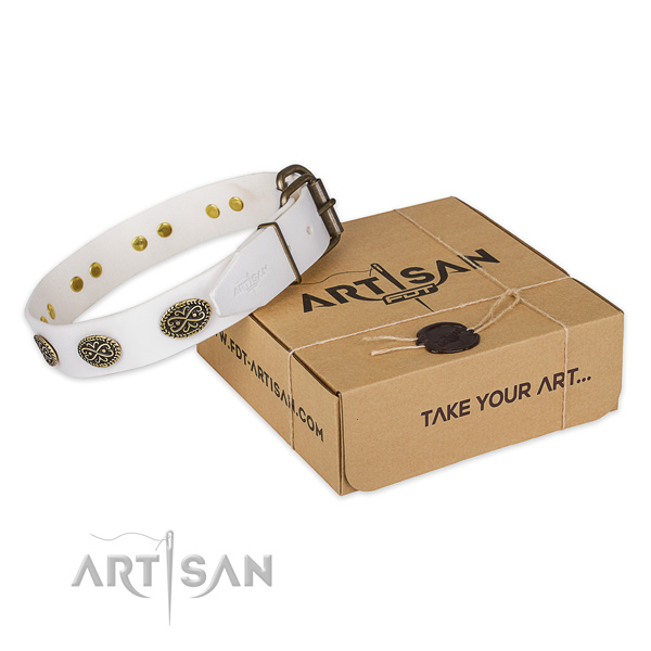 Durable buckle on full grain genuine leather dog collar for everyday walking