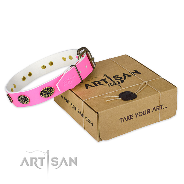 Studded full grain genuine leather dog collar for daily walking