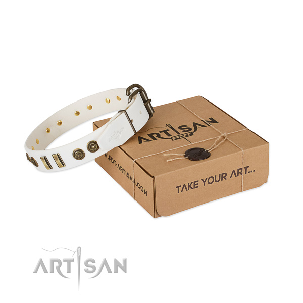 Strong embellishments on full grain genuine leather dog collar for your canine