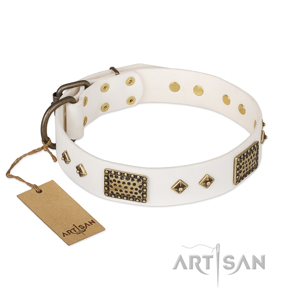 Significant leather dog collar for daily use