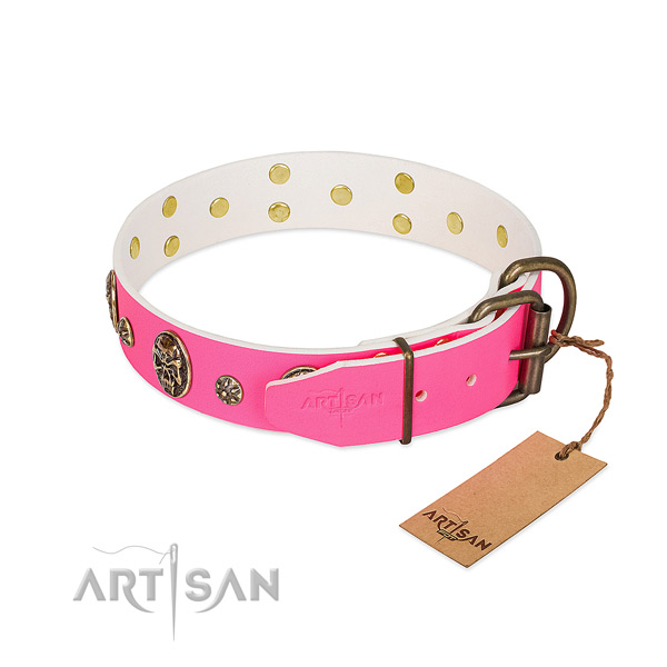 Strong fittings on leather collar for daily walking your four-legged friend