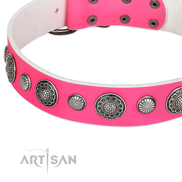 Genuine leather collar with reliable hardware for your impressive canine