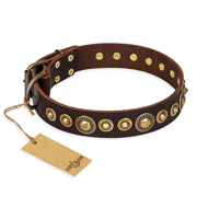 "Ancient Warrior" FDT Artisan Fancy Leather Bulldog Collar with Old-Bronze Plated Decorations