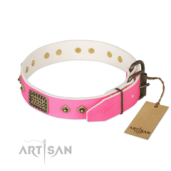 Rust resistant traditional buckle on comfortable wearing dog collar