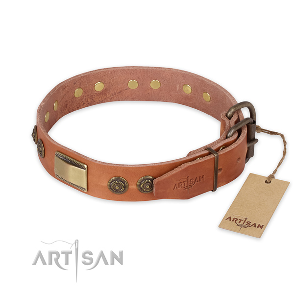 Durable hardware on genuine leather collar for daily walking your four-legged friend