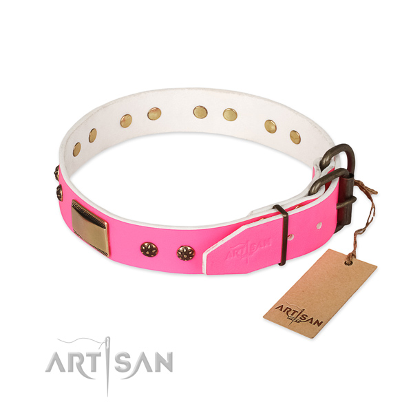 Rust-proof adornments on leather dog collar for your canine