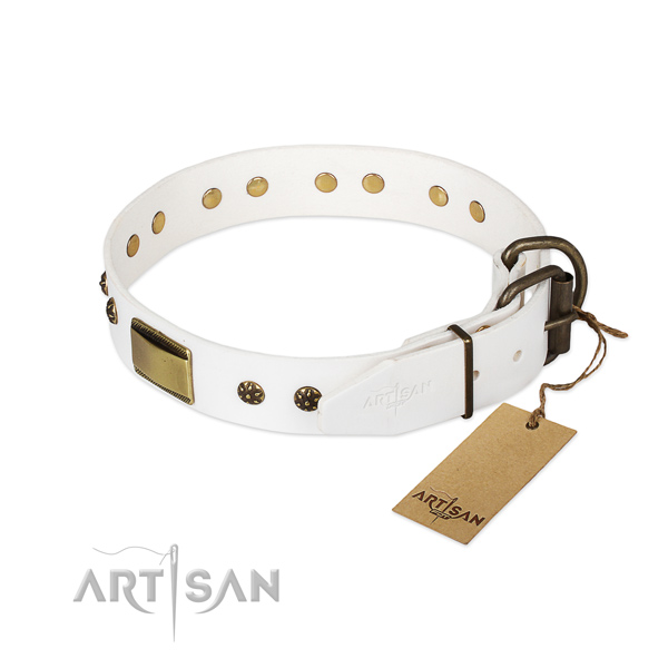 Natural genuine leather dog collar with reliable hardware and embellishments