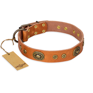 "Dandy Pet" FDT Artisan Handcrafted Tan Leather Bulldog Collar