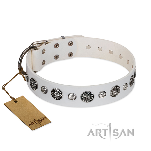 Strong full grain genuine leather dog collar with corrosion proof fittings