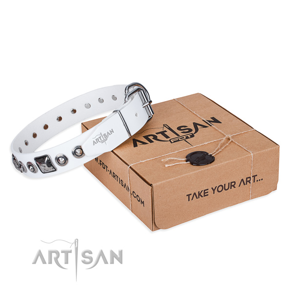 High quality genuine leather dog collar handcrafted for everyday walking