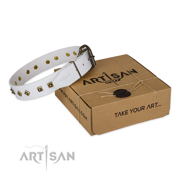 Rust resistant fittings on full grain natural leather dog collar for handy use