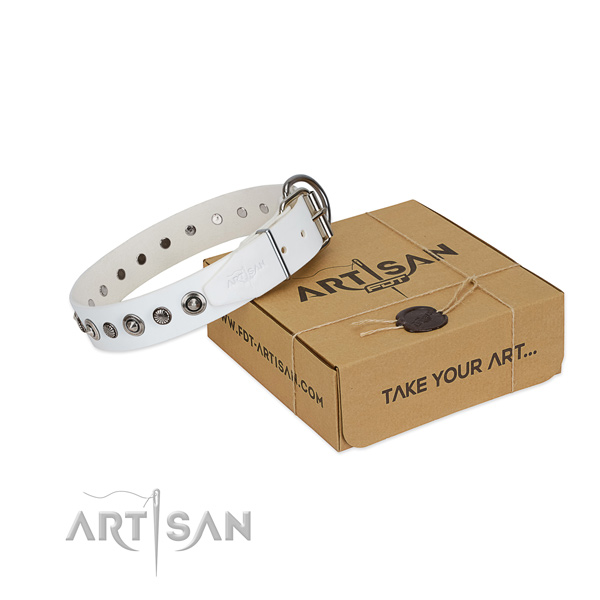 Finest quality leather dog collar with significant embellishments