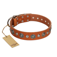 "Natural Beauty" FDT Artisan Tan Leather Bulldog Collar with Shining Silver-like Studs