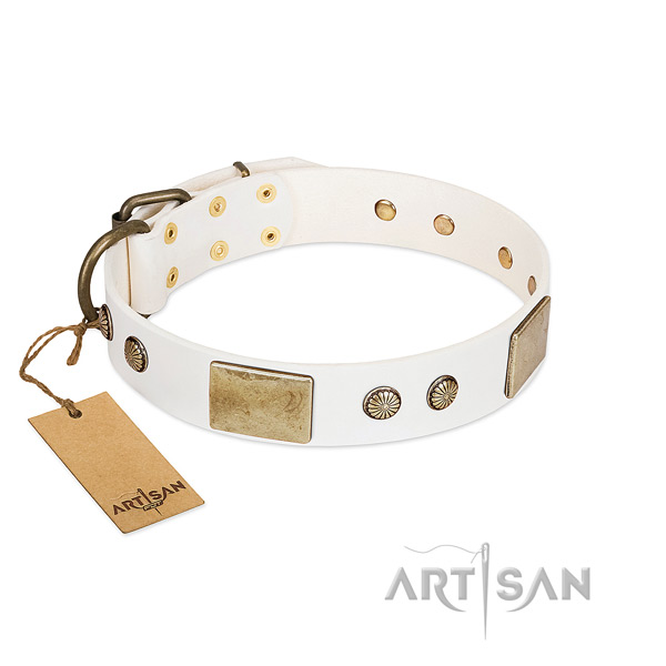 Easy to adjust natural leather dog collar for walking your doggie